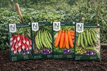 Køkkenhavepakken - frø 